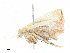  ( - CBG-A05367-H09)  @11 [ ] CreativeCommons - Attribution (2023) CBG Photography Group Centre for Biodiversity Genomics