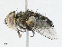  ( - CBG-A05370-E01)  @11 [ ] CreativeCommons - Attribution (2023) CBG Photography Group Centre for Biodiversity Genomics