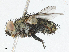  ( - CBG-A05370-G01)  @11 [ ] CreativeCommons - Attribution (2023) CBG Photography Group Centre for Biodiversity Genomics