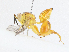  (chalMalaise7924 - CBG-A05371-D03)  @11 [ ] CreativeCommons - Attribution (2023) CBG Photography Group Centre for Biodiversity Genomics