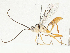  ( - CBG-A05372-H08)  @11 [ ] CreativeCommons - Attribution (2023) CBG Photography Group Centre for Biodiversity Genomics