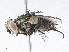  ( - CBG-A05423-G12)  @11 [ ] CreativeCommons - Attribution (2023) CBG Photography Group Centre for Biodiversity Genomics