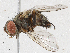  ( - CBG-A05424-A09)  @11 [ ] CreativeCommons - Attribution (2023) CBG Photography Group Centre for Biodiversity Genomics