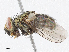  ( - CBG-A05424-A12)  @11 [ ] CreativeCommons - Attribution (2023) CBG Photography Group Centre for Biodiversity Genomics