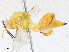  ( - CBG-A05424-G06)  @11 [ ] CreativeCommons - Attribution (2023) CBG Photography Group Centre for Biodiversity Genomics