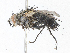  ( - CBG-A05428-B12)  @11 [ ] CreativeCommons - Attribution (2023) CBG Photography Group Centre for Biodiversity Genomics