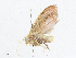  ( - CBG-A06209-B01)  @11 [ ] CreativeCommons - Attribution (2023) CBG Photography Group Centre for Biodiversity Genomics