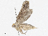  ( - CBG-A06209-C04)  @11 [ ] CreativeCommons - Attribution (2023) CBG Photography Group Centre for Biodiversity Genomics