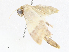  ( - CBG-A06209-D05)  @11 [ ] CreativeCommons - Attribution (2023) CBG Photography Group Centre for Biodiversity Genomics