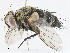  ( - CBG-A06209-E01)  @11 [ ] CreativeCommons - Attribution (2023) CBG Photography Group Centre for Biodiversity Genomics