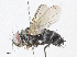  ( - CBG-A06209-E09)  @11 [ ] CreativeCommons - Attribution (2023) CBG Photography Group Centre for Biodiversity Genomics