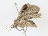  ( - CBG-A06210-C08)  @11 [ ] CreativeCommons - Attribution (2023) CBG Photography Group Centre for Biodiversity Genomics