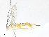  ( - CBG-A06210-G09)  @11 [ ] CreativeCommons - Attribution (2023) CBG Photography Group Centre for Biodiversity Genomics