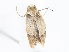  ( - CBG-A06210-H03)  @11 [ ] CreativeCommons - Attribution (2023) CBG Photography Group Centre for Biodiversity Genomics