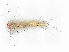  ( - CBG-A06210-H11)  @11 [ ] CreativeCommons - Attribution (2023) CBG Photography Group Centre for Biodiversity Genomics