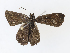  ( - CBG-A06211-C12)  @11 [ ] CreativeCommons - Attribution (2023) CBG Photography Group Centre for Biodiversity Genomics
