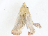  ( - CBG-A06211-D03)  @11 [ ] CreativeCommons - Attribution (2023) CBG Photography Group Centre for Biodiversity Genomics