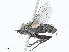  ( - CBG-A05430-D05)  @11 [ ] CreativeCommons - Attribution Share - Alike (2023) CBG Photography Group Centre for Biodiversity Genomics