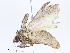  ( - CBG-A05430-D07)  @11 [ ] CreativeCommons - Attribution Share - Alike (2023) CBG Photography Group Centre for Biodiversity Genomics