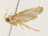  ( - CBG-A31783-G05)  @11 [ ] CreativeCommons - Attribution Share - Alike (2024) CBG Photography Group Centre for Biodiversity Genomics