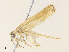  ( - CBG-A31784-H04)  @11 [ ] CreativeCommons - Attribution Share - Alike (2024) CBG Photography Group Centre for Biodiversity Genomics