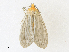  ( - CBG-A31787-D11)  @11 [ ] CreativeCommons - Attribution Share-Alike (2024) CBG Photography Group Centre for Biodiversity Genomics