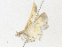  ( - CBG-A31787-E10)  @11 [ ] CreativeCommons - Attribution Share-Alike (2024) CBG Photography Group Centre for Biodiversity Genomics