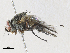  ( - CBG-A31788-F03)  @11 [ ] CreativeCommons - Attribution Share-Alike (2024) CBG Photography Group Centre for Biodiversity Genomics