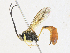  ( - CBG-A31788-H01)  @11 [ ] CreativeCommons - Attribution Share-Alike (2024) CBG Photography Group Centre for Biodiversity Genomics