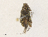  ( - CBG-A33437-C02)  @11 [ ] CreativeCommons - Attribution Share - Alike (2024) CBG Photography Group Centre for Biodiversity Genomics