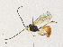  ( - CBG-A33437-D04)  @11 [ ] CreativeCommons - Attribution Share - Alike (2024) CBG Photography Group Centre for Biodiversity Genomics