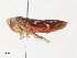  ( - CBG-A33437-E12)  @11 [ ] CreativeCommons - Attribution Share - Alike (2024) CBG Photography Group Centre for Biodiversity Genomics