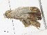  ( - CBG-A33438-E08)  @11 [ ] CreativeCommons - Attribution Share - Alike (2024) CBG Photography Group Centre for Biodiversity Genomics