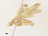  ( - CBG-A33440-B03)  @11 [ ] CreativeCommons - Attribution Share - Alike (2024) CBG Photography Group Centre for Biodiversity Genomics