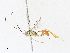  ( - CBG-A33440-B10)  @11 [ ] CreativeCommons - Attribution Share - Alike (2024) CBG Photography Group Centre for Biodiversity Genomics