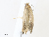  ( - CBG-A33440-D12)  @11 [ ] CreativeCommons - Attribution Share - Alike (2024) CBG Photography Group Centre for Biodiversity Genomics