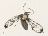  ( - CBG-A33441-A02)  @11 [ ] CreativeCommons - Attribution Share - Alike (2024) CBG Photography Group Centre for Biodiversity Genomics