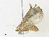  ( - CBG-A33442-C10)  @11 [ ] CreativeCommons - Attribution Share - Alike (2024) CBG Photography Group Centre for Biodiversity Genomics