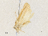  ( - CBG-A33442-D03)  @11 [ ] CreativeCommons - Attribution Share - Alike (2024) CBG Photography Group Centre for Biodiversity Genomics