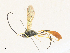  ( - CBG-A33443-B01)  @11 [ ] CreativeCommons - Attribution Share - Alike (2024) CBG Photography Group Centre for Biodiversity Genomics