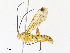  ( - CBG-A33443-D12)  @11 [ ] CreativeCommons - Attribution Share - Alike (2024) CBG Photography Group Centre for Biodiversity Genomics