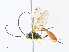  ( - CBG-A33443-G12)  @11 [ ] CreativeCommons - Attribution Share - Alike (2024) CBG Photography Group Centre for Biodiversity Genomics