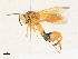  (chalMalaise1582 - CBG-A33444-B01)  @11 [ ] CreativeCommons - Attribution Share-Alike (2024) CBG Photography Group Centre for Biodiversity Genomics