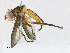  ( - CBG-A34334-F02)  @11 [ ] CreativeCommons - Attribution Share-Alike (2024) CBG Photography Group Centre for Biodiversity Genomics