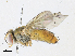  ( - CBG-A34334-F08)  @11 [ ] CreativeCommons - Attribution Share-Alike (2024) CBG Photography Group Centre for Biodiversity Genomics
