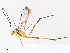  ( - CBG-A34335-C10)  @11 [ ] CreativeCommons - Attribution Share - Alike (2024) CBG Photography Group Centre for Biodiversity Genomics