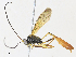  ( - CBG-A34335-G09)  @11 [ ] CreativeCommons - Attribution Share - Alike (2024) CBG Photography Group Centre for Biodiversity Genomics