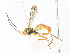  ( - CBG-A34338-C12)  @11 [ ] CreativeCommons - Attribution Share - Alike (2024) CBG Photography Group Centre for Biodiversity Genomics