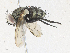  (Houghia Janzen8312 - CBG-A34338-F03)  @11 [ ] CreativeCommons - Attribution Share - Alike (2024) CBG Photography Group Centre for Biodiversity Genomics