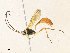  ( - CBG-A34338-H05)  @11 [ ] CreativeCommons - Attribution Share - Alike (2024) CBG Photography Group Centre for Biodiversity Genomics